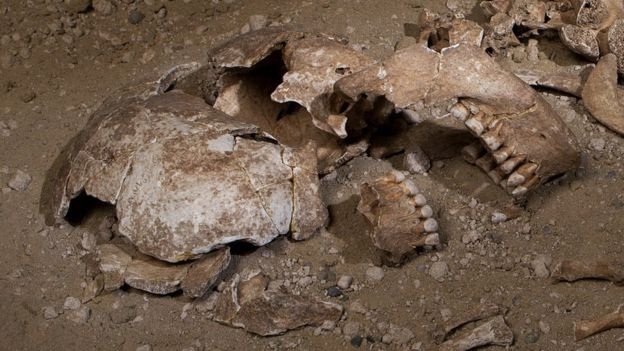  3D technology helps reveal face of Bronze Age farmer 