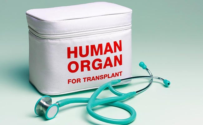  Now an algorithm-based system to facilitate organ transplants 