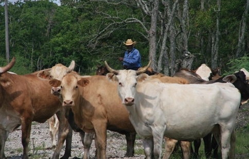 Australian state prepares for drought after driest June 