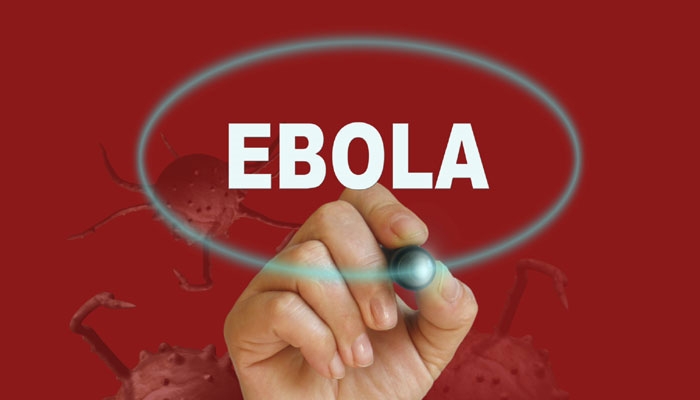  Ebola virus persists in monkeys 