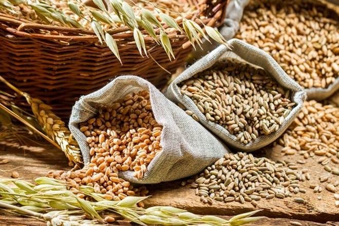  Foodgrain output up 5-fold in 60 Years, hides farm distress 