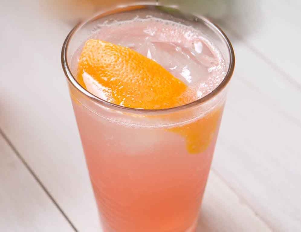 Aromatic Bitters Grain Alcohol Drink