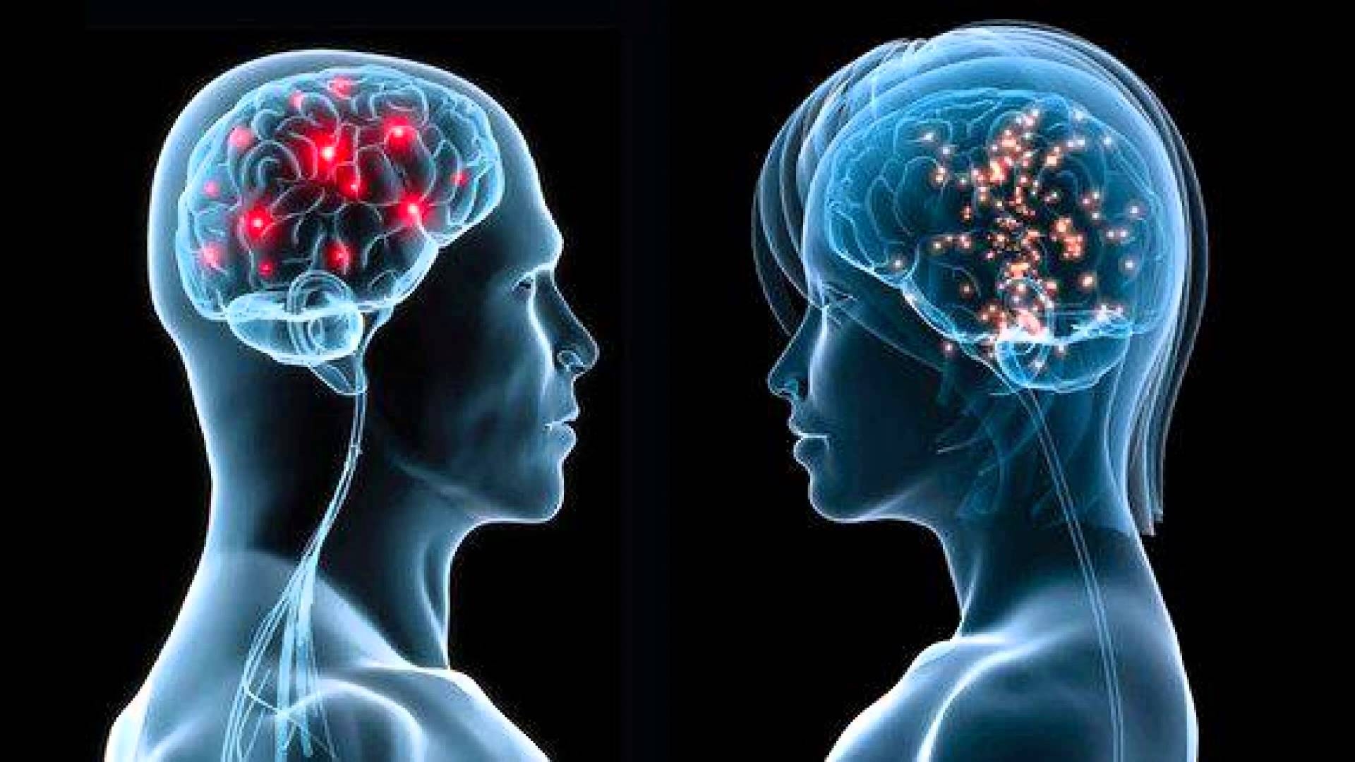  Sex, aggression overlap in male brains: Study 