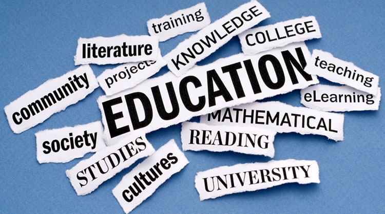 How privatisation can usher in quality education