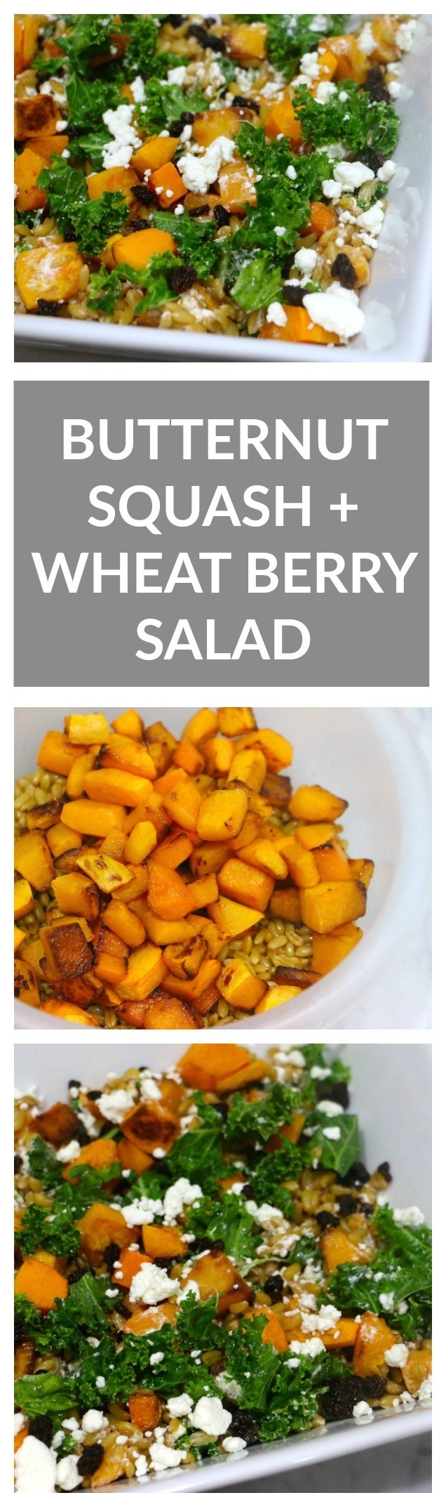 Butternut Squash Wheat Berry Salad