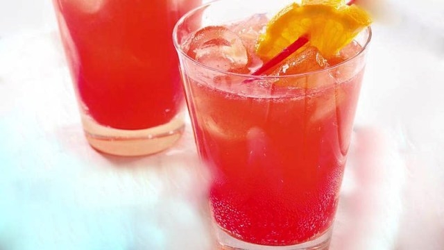 Frozen Lemonade Punch