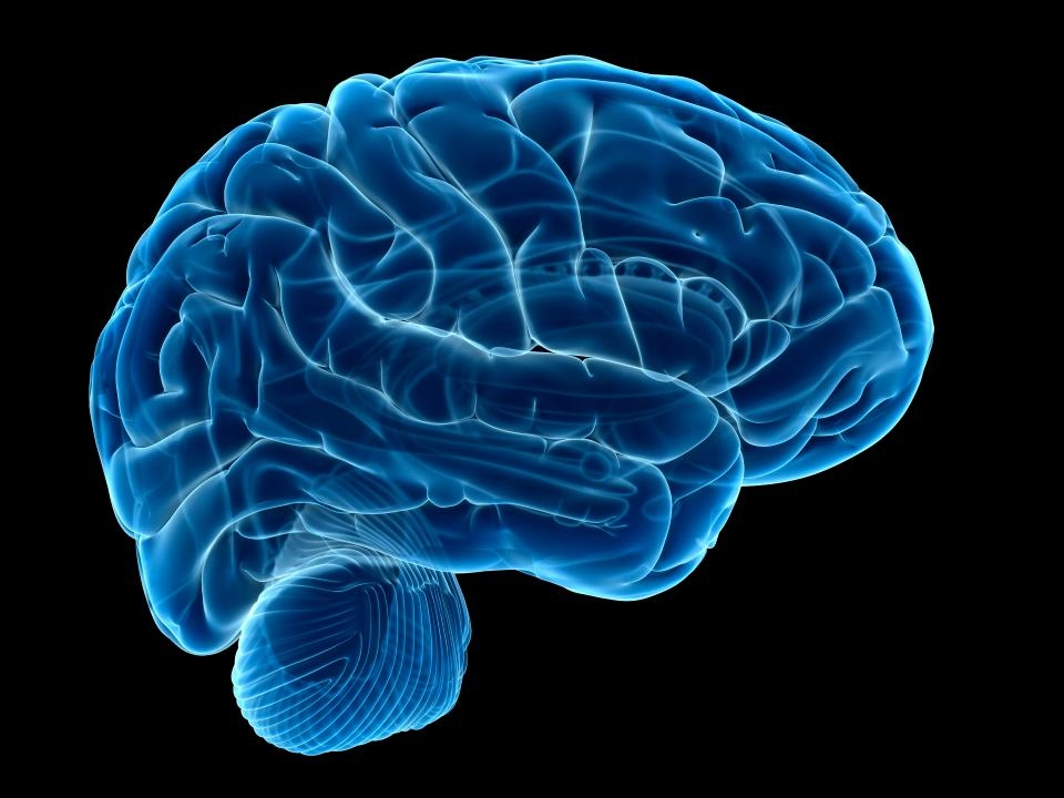  MRI brain scans may help identify MS risk early in children 