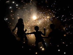 Why should firecrackers be banned?