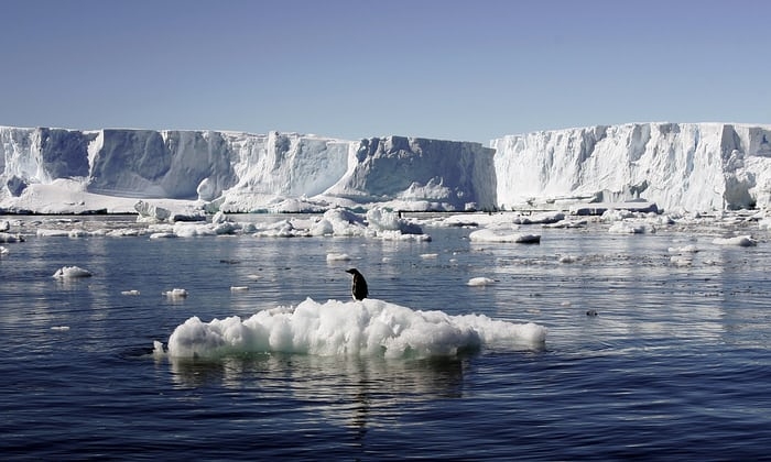  Warmer oceans set to hit global marine diversity: Scientists 