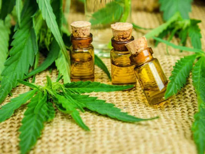  Peru approves medicinal use of marijuana 
