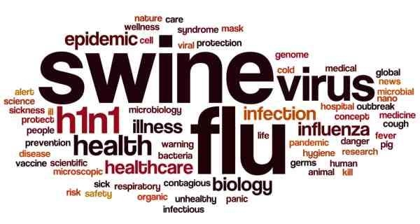 Swine flu: Prevention, precautions and treatment